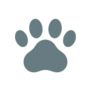 Pet Supplies